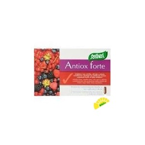 ANTIOX FORTE CAPS