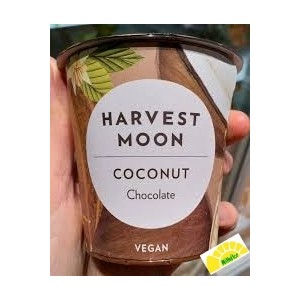 YOGURT COCO CHOCOLATE 125GRA