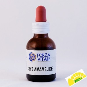 SYS AMAMELIDE