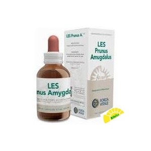 LES PRUNUS AMYGDALUS 