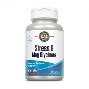 STRES B MAG GLYCINATE 60 CAPS