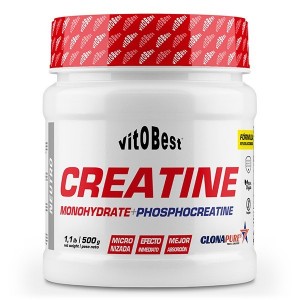 CREATINA CLONAPURE 500GR