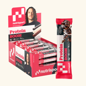 BARRITA CHOCO FUDGE CK 49GR