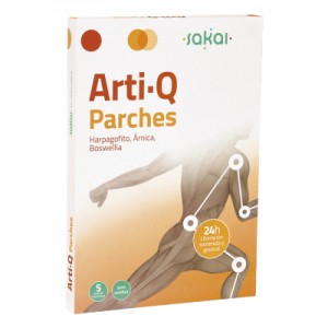 ARTI Q PARCHES