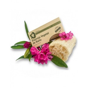 ESPONJA VEGETAL BAÑO 7.5