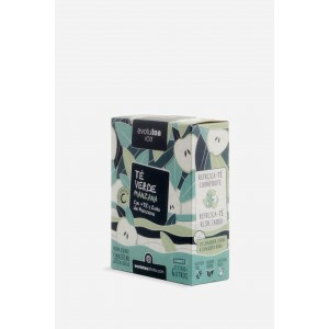EVOLUTEAICE MANZANA 12 ST